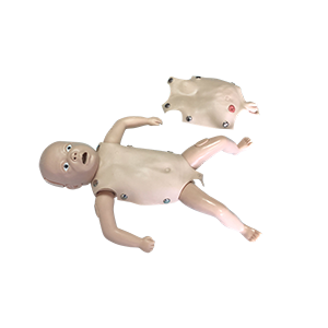 Advanced Newborn Nursing Model